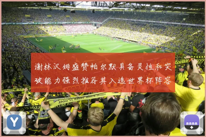 谢林汉姆盛赞帕尔默具备灵性和突破能力强烈推荐其入选世界杯阵容