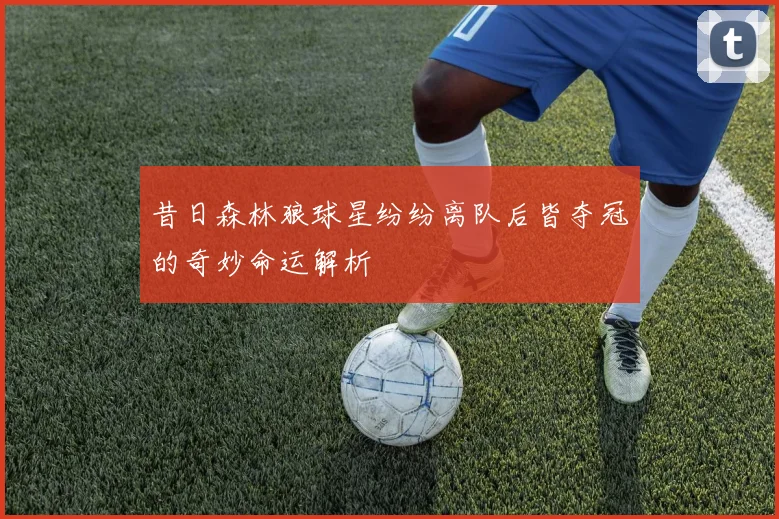 昔日森林狼球星纷纷离队后皆夺冠的奇妙命运解析